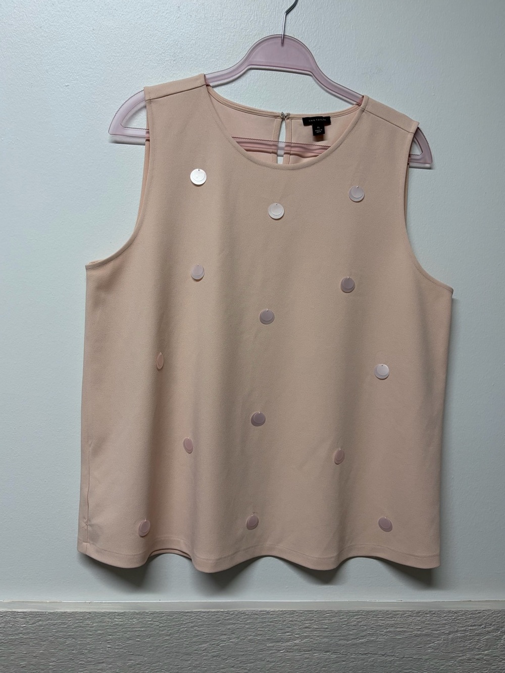 Ann Taylor XL Top